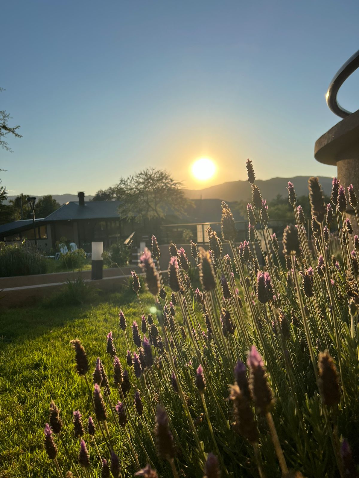 WhatsApp Image 2025-08-14 at 12.31.14 (5)