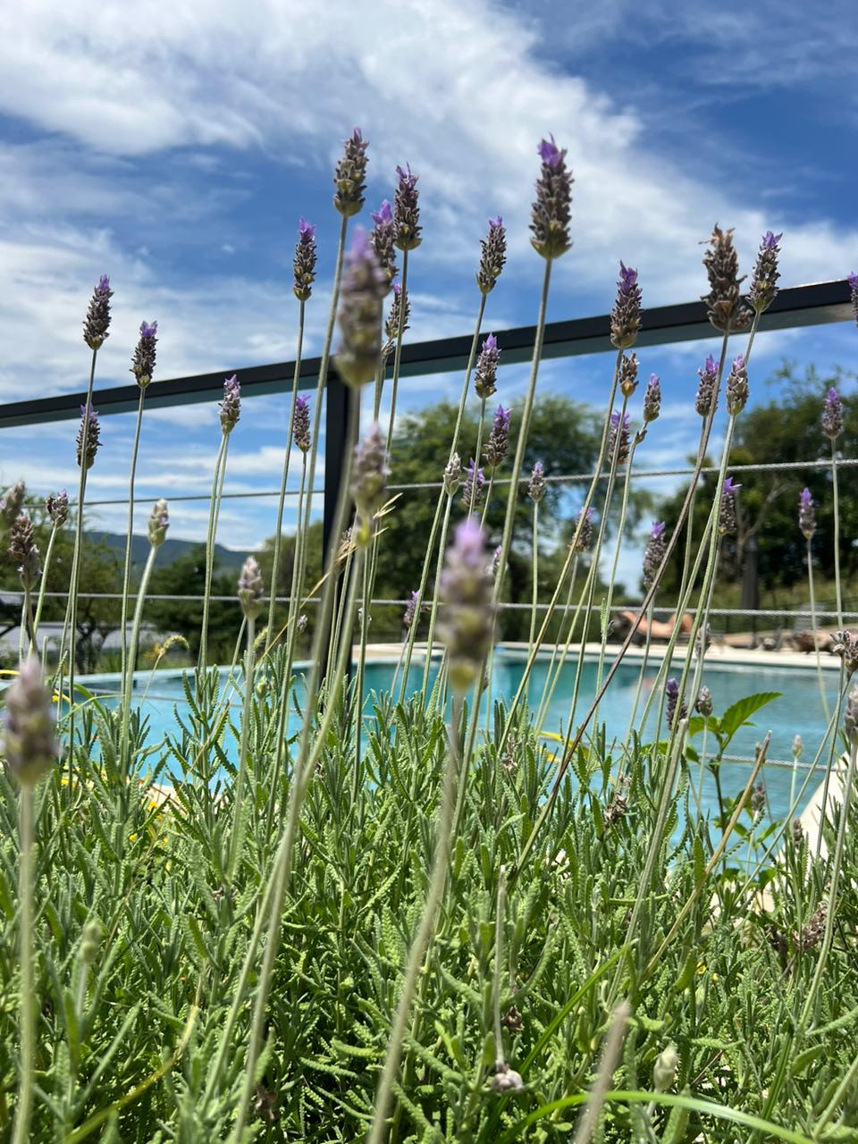 whatsapp image 2025 08 14 at 12.31.15 (7)