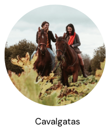 captura de pantalla 2025 09 09 a las 9.23.05